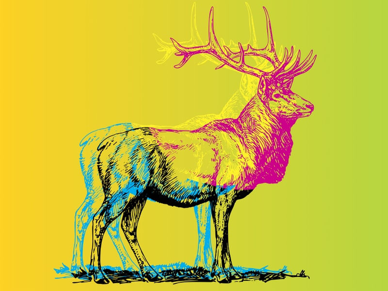CMYK MOOSE