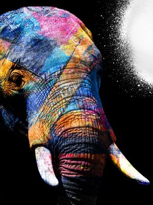 ELEPHANT SPLATTER