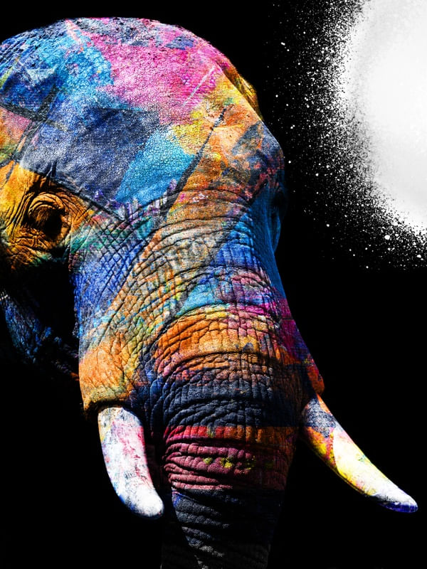 ELEPHANT SPLATTER