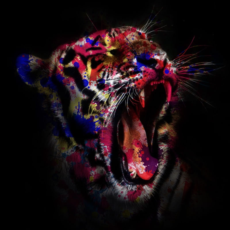 TIGER SPLATTER
