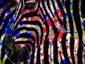ZEBRA SPLATTER