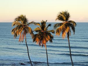 PRAIA DE ITAPUAMA