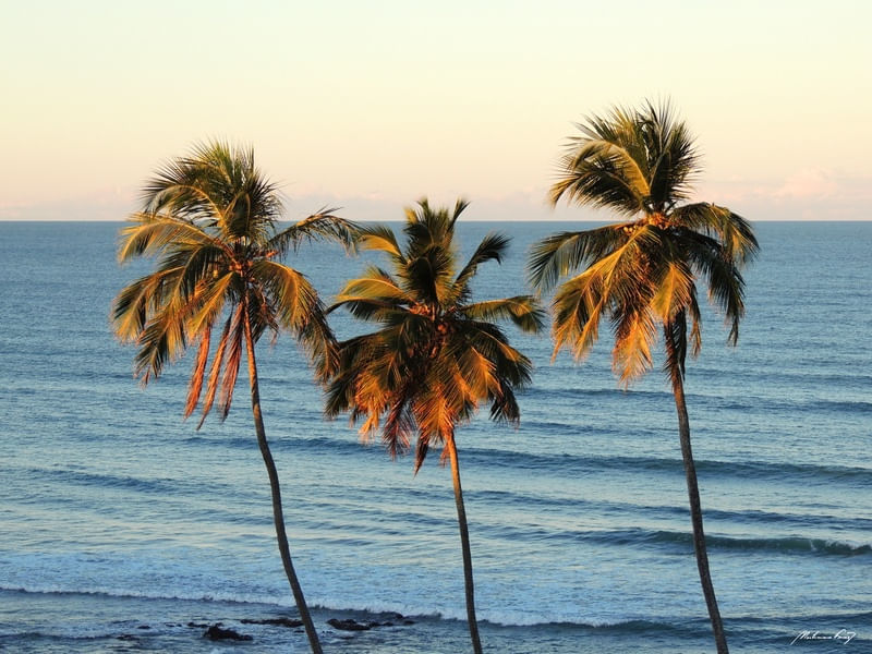 PRAIA DE ITAPUAMA