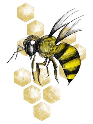 BE BEE