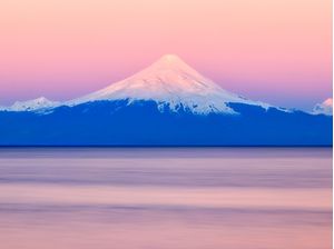 PINK OSORNO
