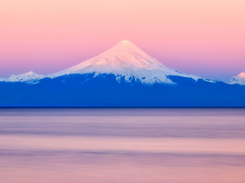 PINK OSORNO