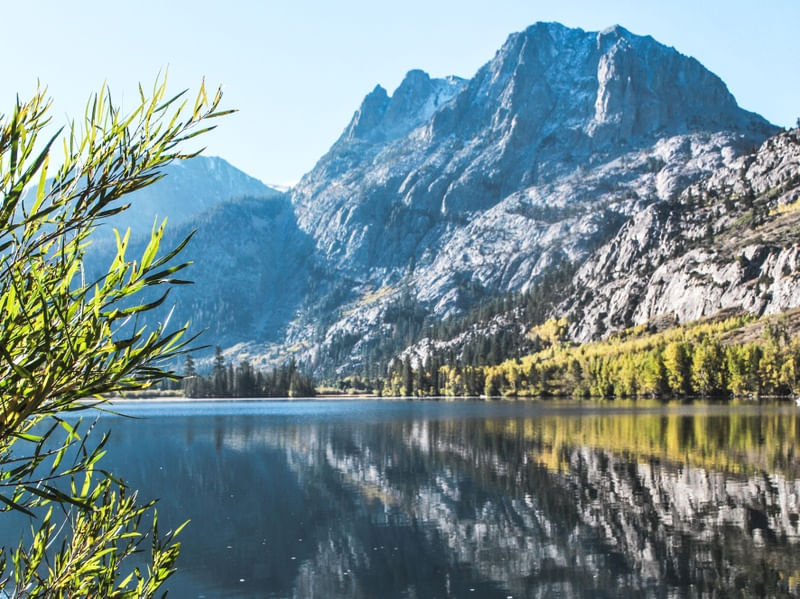 SILVER LAKE 1