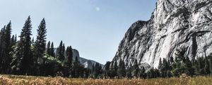 YOSEMITE NATURE 2