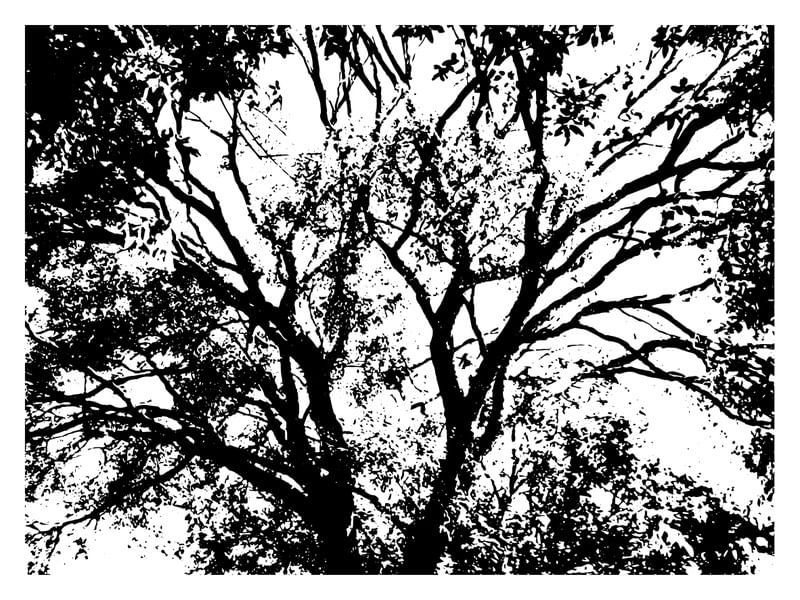 NATUREZA - BRASIL MOLD PB