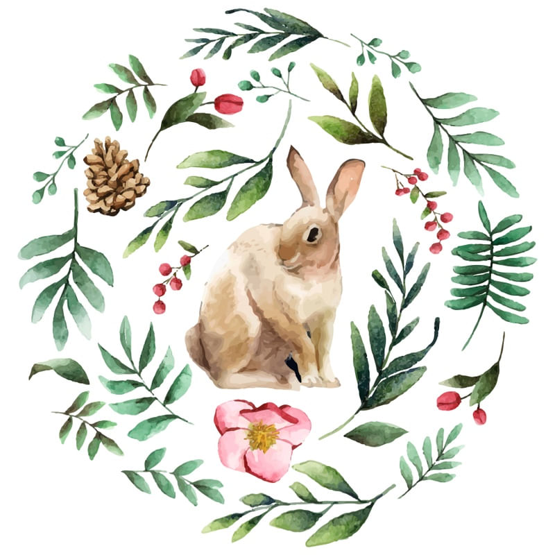 BUNNY E FOLHAS