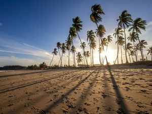 COQUEIROS EM ITAPUAMA