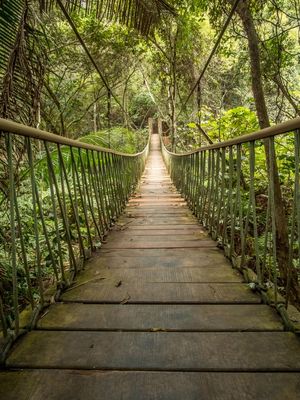 PONTE PÊNSIL EM BANANEIRAS