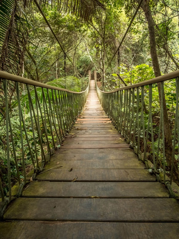 PONTE PÊNSIL EM BANANEIRAS