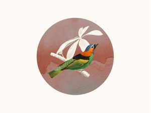 THE BIRD AND WALL WORLD