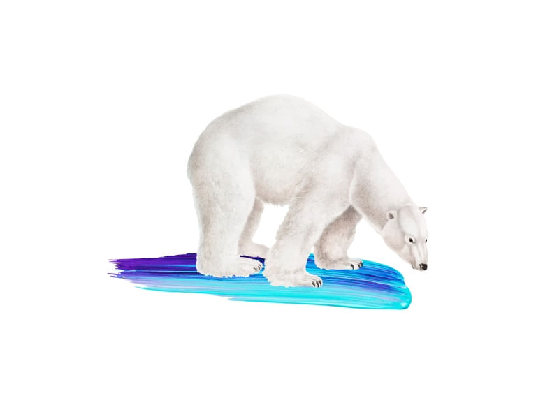 THE POLAR BEAR AND THE PAINTING