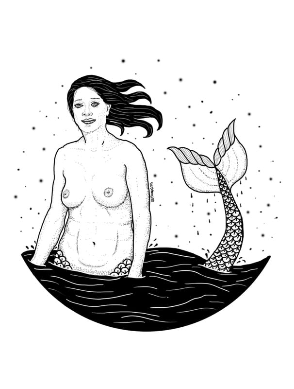 CANTO DA SEREIA