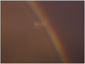 TECHNICOLOR RAINBOW
