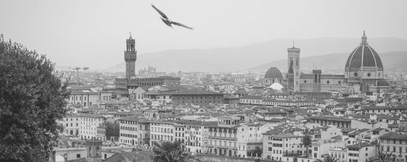 COLEÇÃO FLORENÇA 010