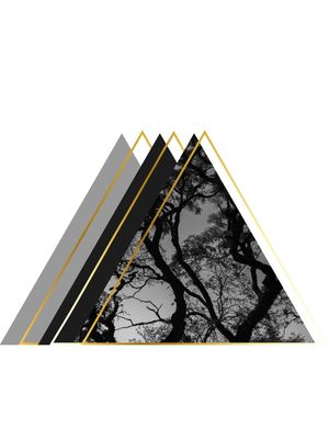 TRIGOLDEN 3/3