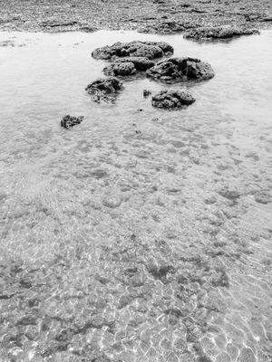 PRAIA E PEDRAS