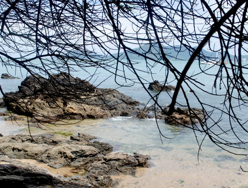 BLUE PARADISE