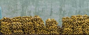 TABULEIRO DAS BANANAS