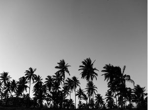 COQUEIROS_PB