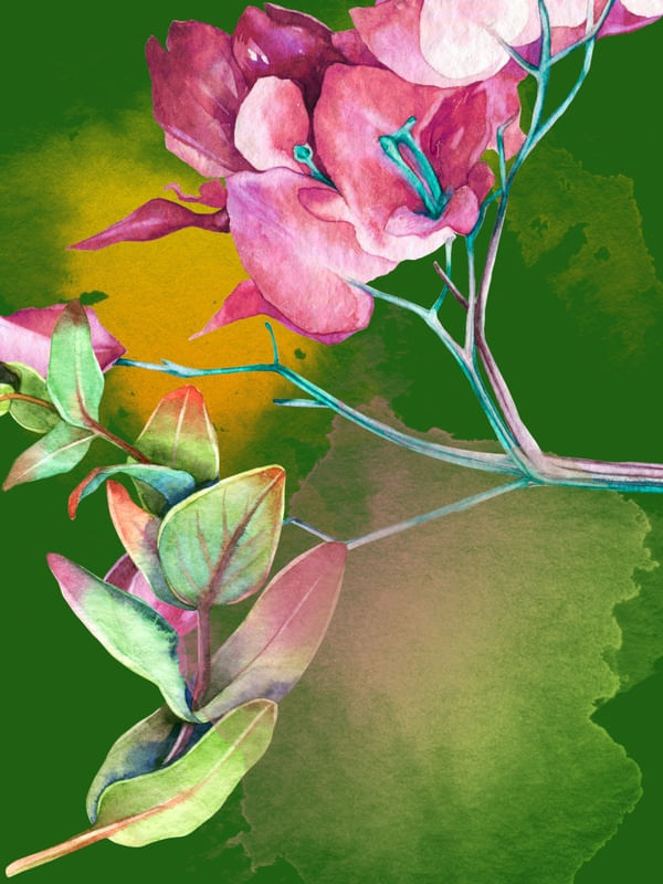 FLORAL VERD
