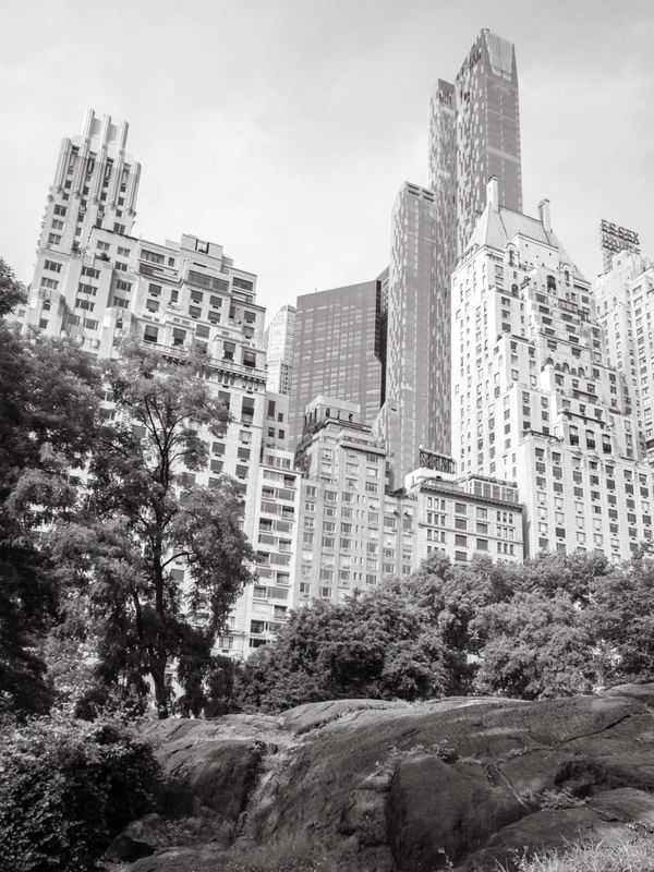 CENTRAL PARK NEW YORK