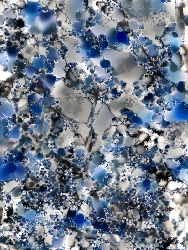 FLORES E MANDELBROT