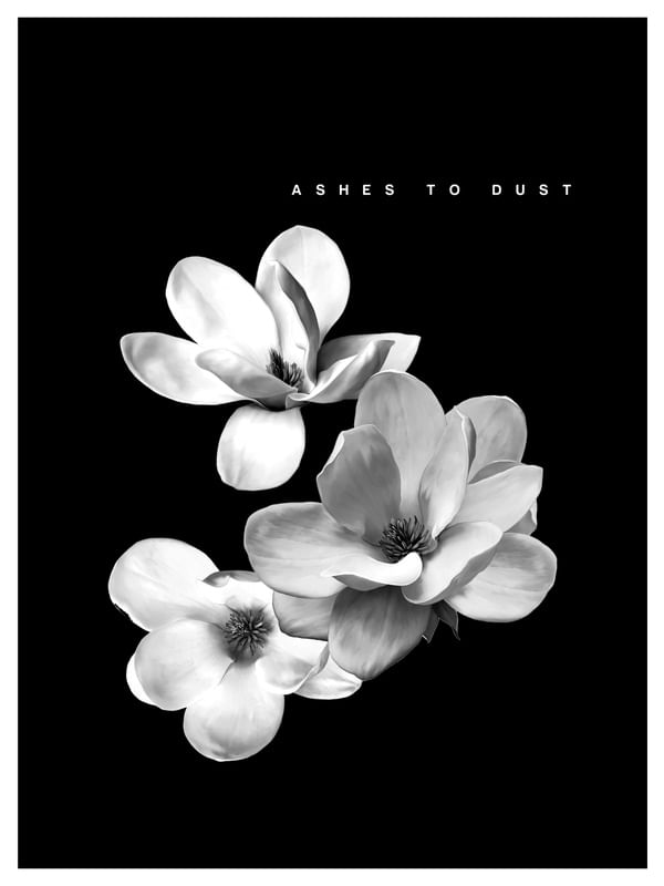 ASHES TO DUST