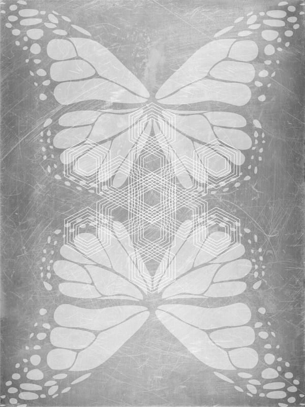 GEOMETRIC BUTTERFLY N°1