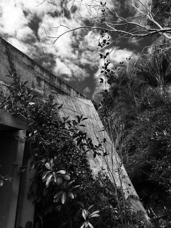 NATURE MEETS CONCRETE