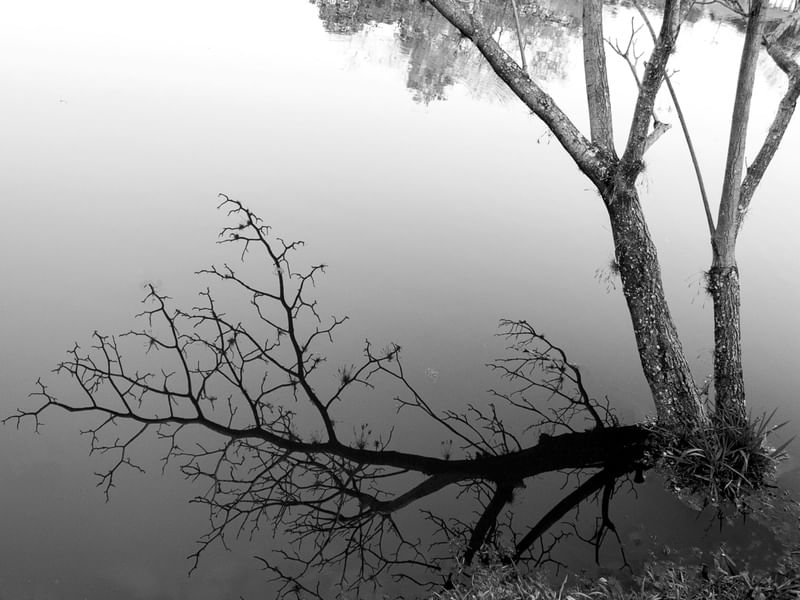 REFLEXO DE NÓS