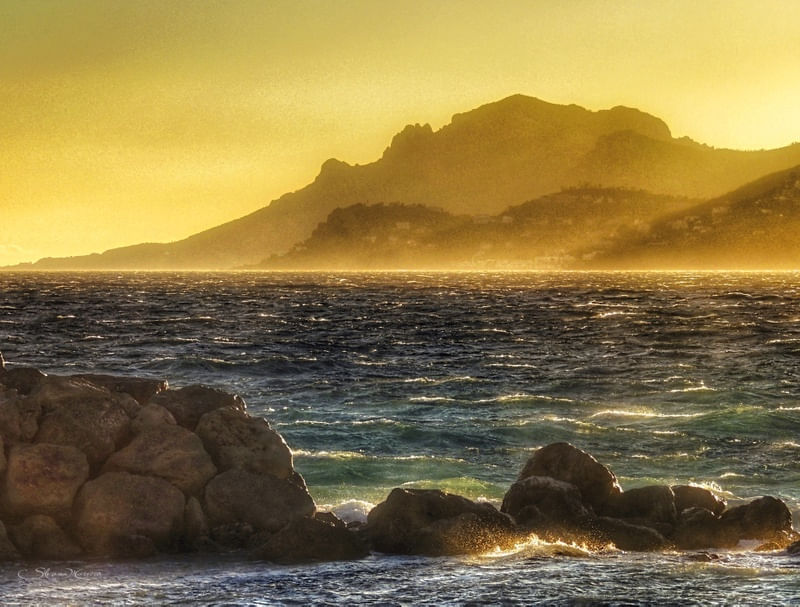 POR DO SOL EM CANNES
