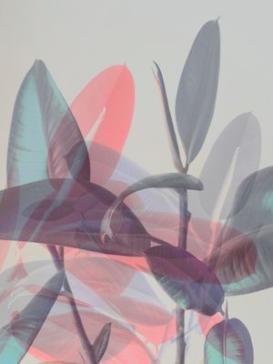 LUSH PASTEL JUNGLE