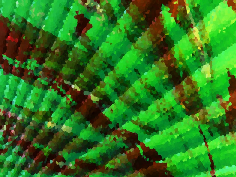NATUREZA E ARTE 01 ARTISTA GLORIA RIMES