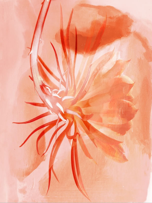 CORAL FLOWER