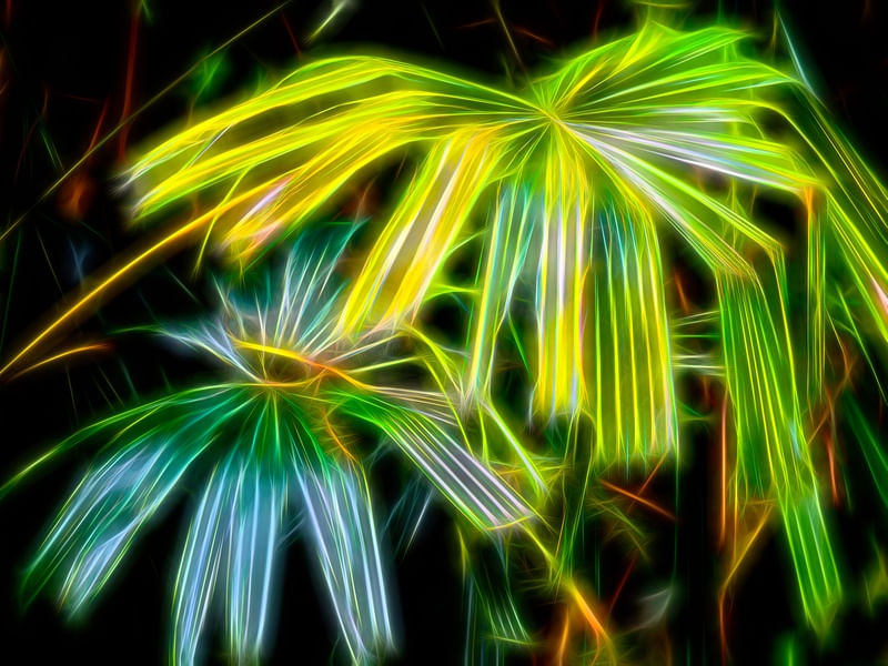 FOLHAGENS NEON