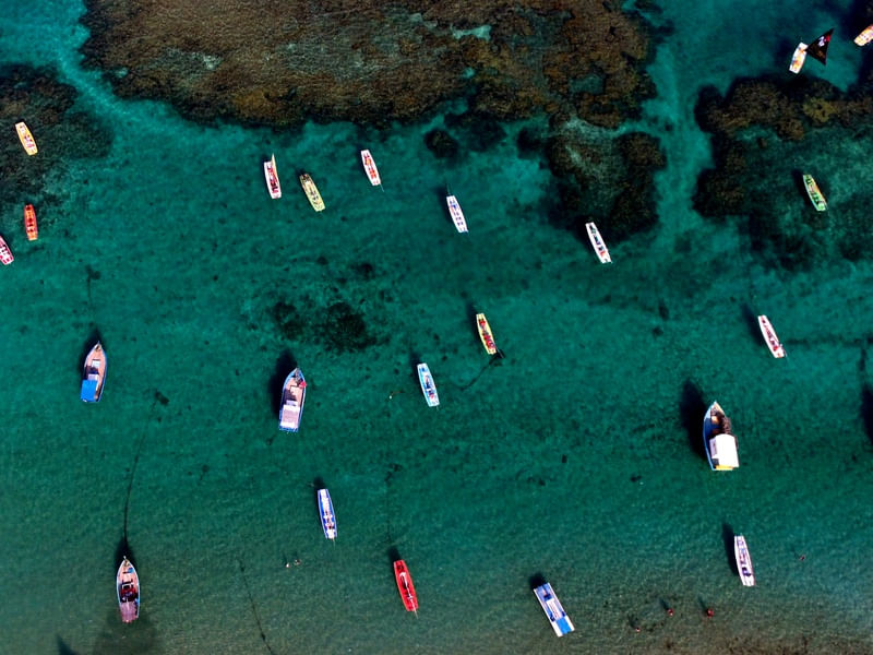 PORTO DE GALINHAS