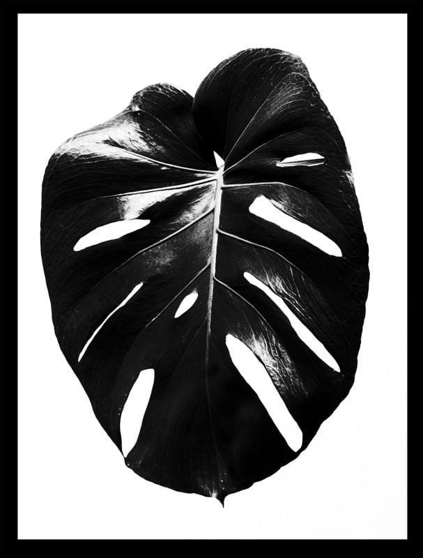 COSTELA ADÃO BLACK