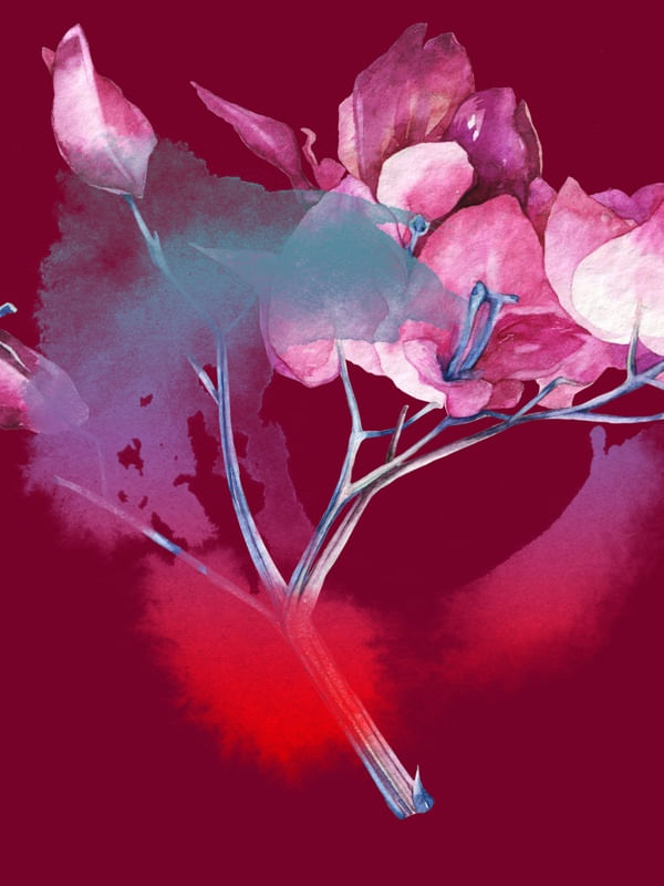 FLORAL VINHO