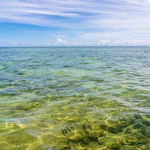 TONS DO MAR 3