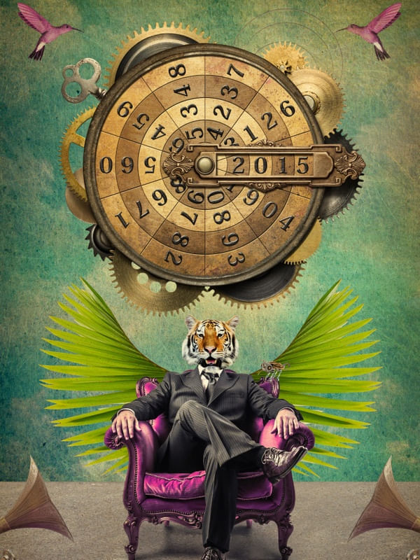 BUSINESS TIGER