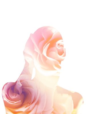 FLOR BODY