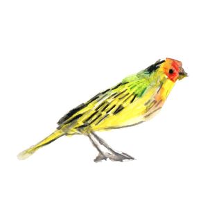 PIU 03