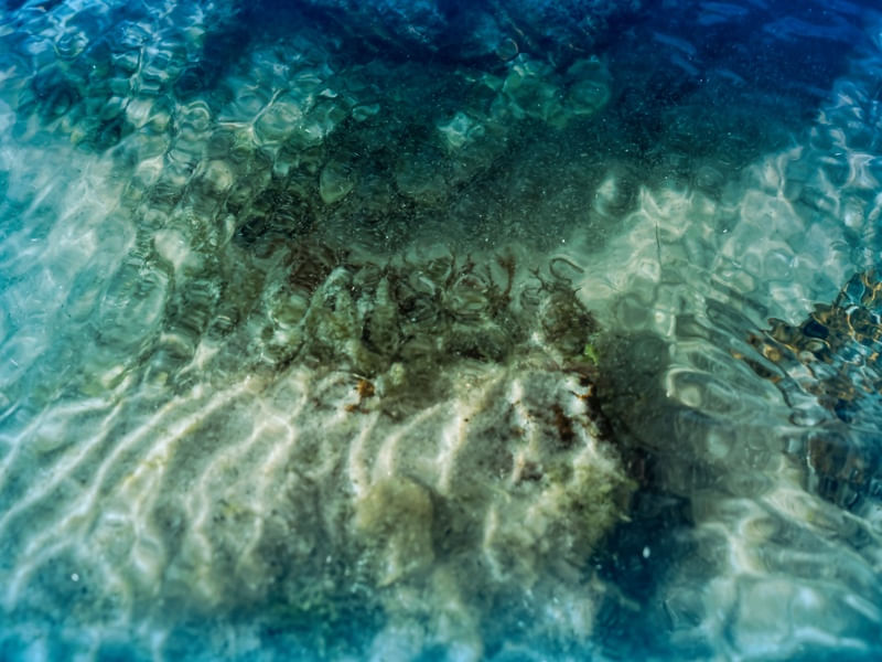 DEEP SEA VOSTRO