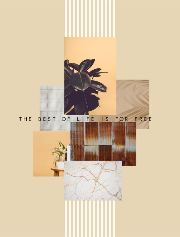 THE BEST