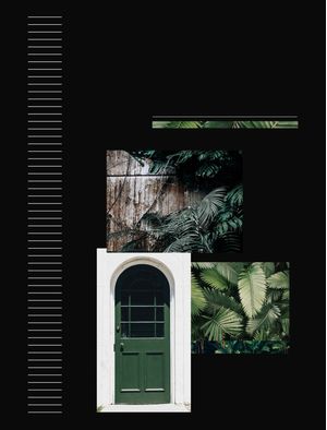BOTANICÂ BLACK