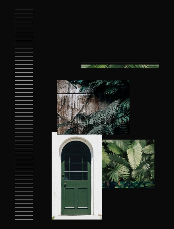 BOTANICÂ BLACK